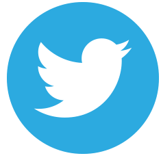 Twitter, Bird, SocialMedia, SM